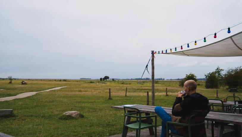 Coffee in Copenhagen's Ørestad neighbourhood overlooking the nature reserve, Amager Fælled. 